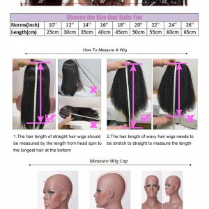 Body Wave Human Hair Lace Front Wigs