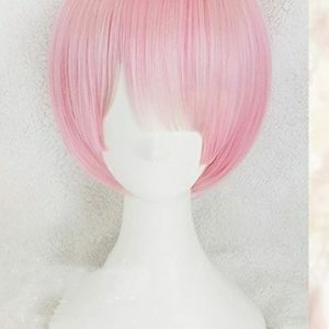 Life in another world from scratch Rem wig